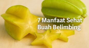 Berikut 7 Manfaat Buah Belimbing yang Baik Bagi Pencernaan dan Kesehatan Tubuh