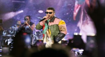 Mengenal Penyakit Lyme Disease yang Bikin Musisi Justin Timberlake Kesakitan saat Manggung