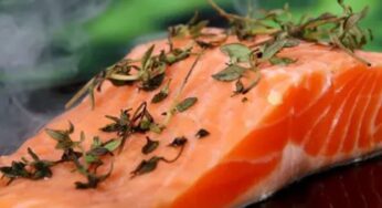Ikan Salmon sebagai Sumber Kecantikan Alami dan Sehat