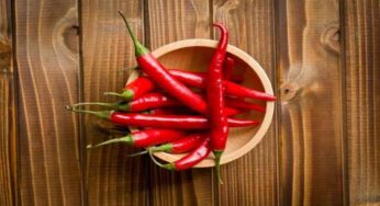 Manfaat Cabe untuk Kesehatan, Pedas tapi Penuh Nutrisi