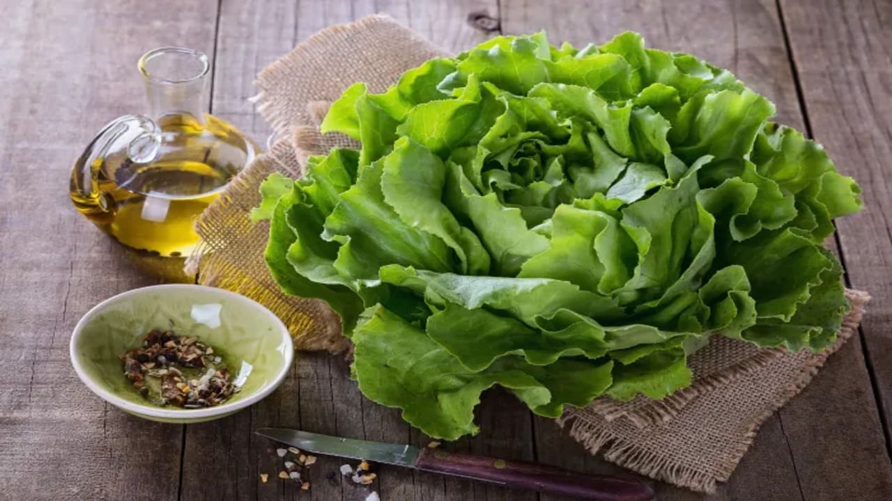 Manfaat Daun Selada untuk Kesehatan Tubuh dan Kecantikan Kulit