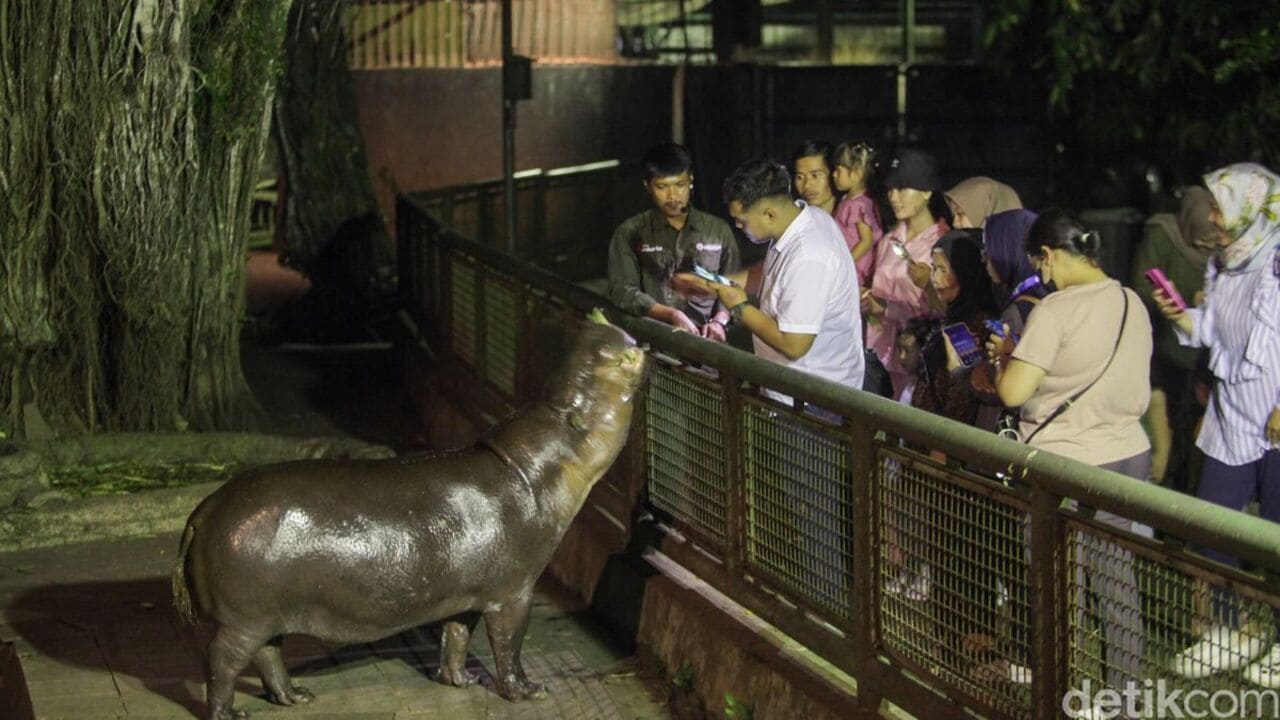 Pesona Malam Ragunan Zoo, Edukasi dan Hiburan Warga Jakarta