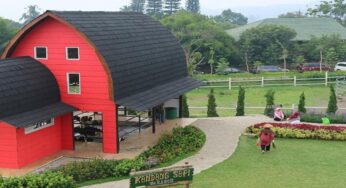 Wisata Bogor: Destinasi Hits dan Ramah Anak untuk Keluarga